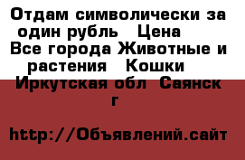 Отдам символически за один рубль › Цена ­ 1 - Все города Животные и растения » Кошки   . Иркутская обл.,Саянск г.